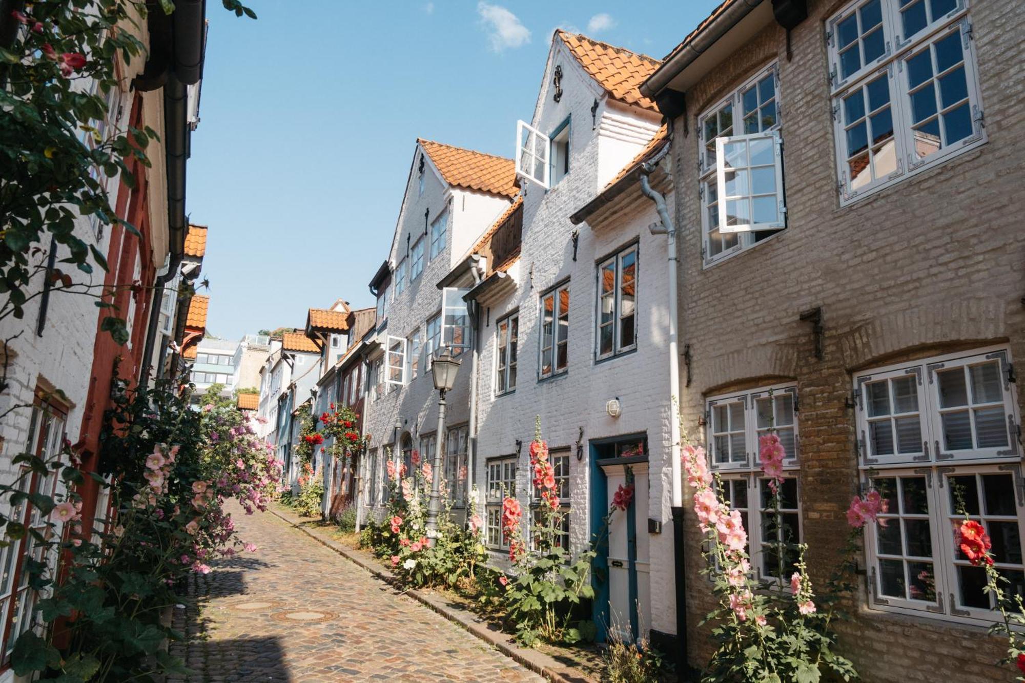 Grosses Apartment Mit 2 Balkonen Zentral Am Nordertor Flensburg Exteriér fotografie